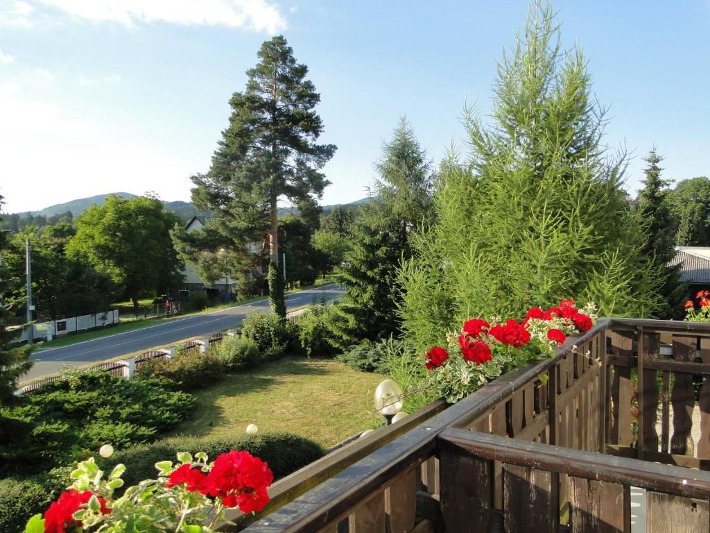 Villa Zerotin Penzion Bed & Breakfast Velké Losiny Exteriör bild